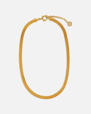 Collares | Lonbali Collar Brad