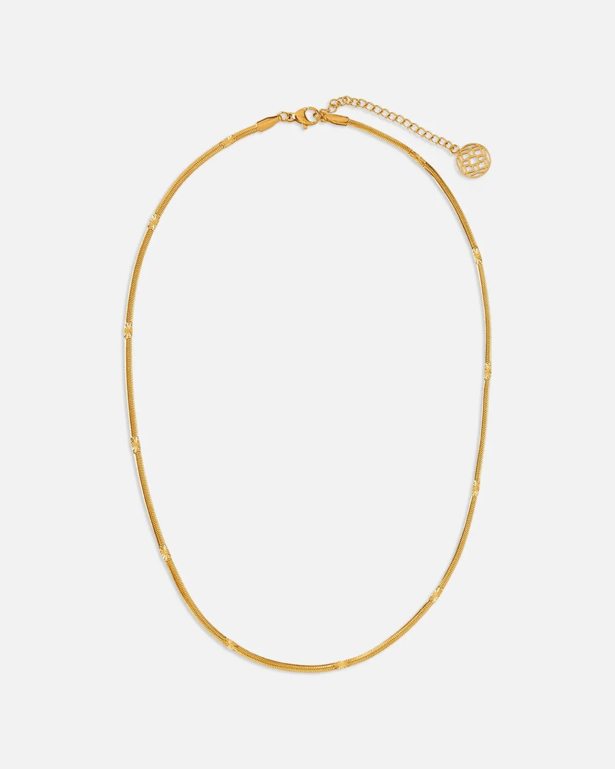 Collares | Lonbali Collar Gandy